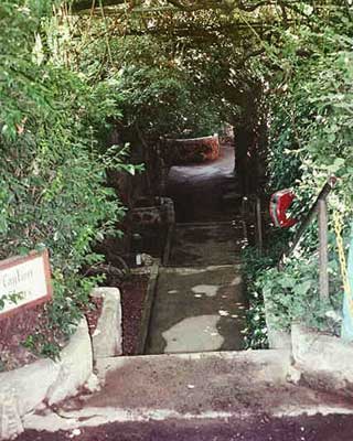 Entrance-Underground-Garden.jpg