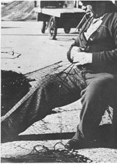 Photo of Antonino Alioto